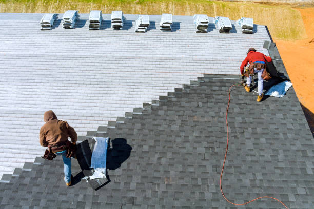 Best Roof Gutter Cleaning  in Las Flores, CA